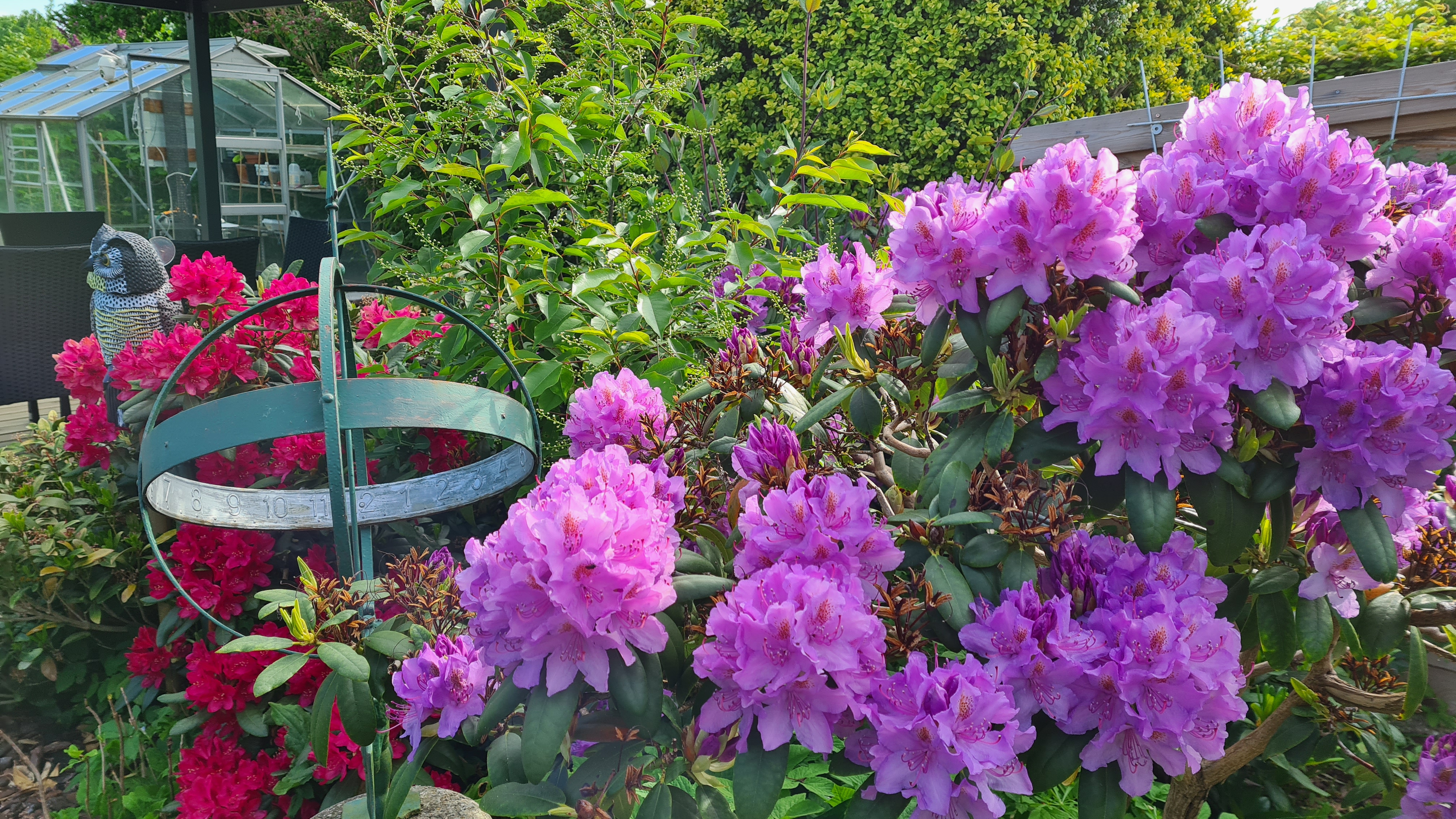 2021-06-06 08.29.18.jpg